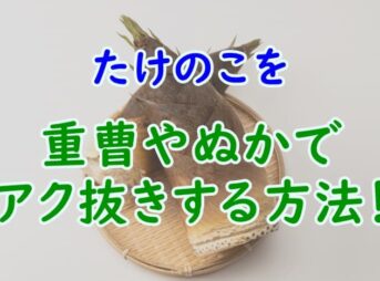 流木のアク抜き処理のやり方を解説 塩抜きも同じ方法 重曹の使い方 家事の教科書