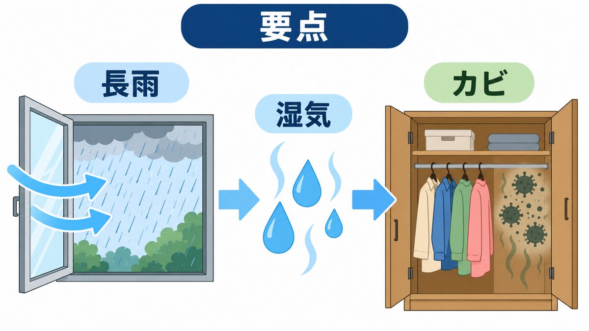 衣替え前の収納チェック（奥・角、ケース下、濡れた服、詰め込み）