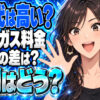 エネオスグローブエナジーは高い？横浜エリアの口コミや単価を調査について説明する女性