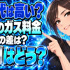岩谷産業株式会社のプロパンガスは高い？横浜の単価と評判を調査について説明する女性