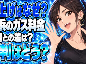 トモプロ株式会社のプロパンガスは高い？横浜の料金値上げと評判を調査について説明する女性
