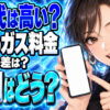 森燃料店のガス料金は高い？横浜エリアの単価と評判を調査について説明する女性