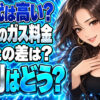 中央液化ガス株式会社の料金は高い？相模原エリアの単価と評判を調査について説明する女性