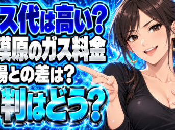 ミツウロコヴェッセルのガス料金は高い？相模原の単価と評判を調査について説明する女性