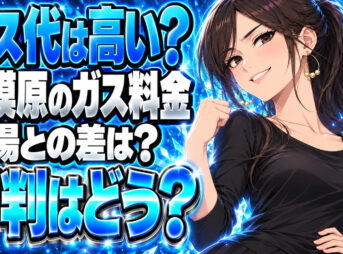 株式会社ホクトのガス料金は高い？相模原の単価と評判を調査について説明する女性