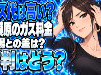 町田ガスのプロパンガス料金は高い？相模原の単価と評判を調査について説明する女性