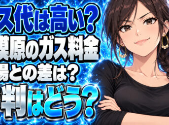 東京商事株式会社のガス料金は高い？相模原の単価と評判を調査について説明する女性