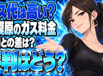 相模ガスのプロパンガス料金は高い？単価と評判を調査について説明する女性