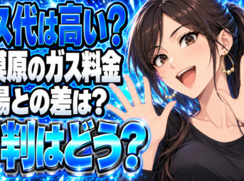 八木屋商店のプロパンガス料金は高い？相模原の単価と評判を調査について説明する女性