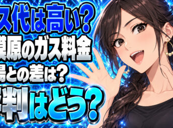 ポテトプロパンのガス料金は高い？相模原の単価と評判を調査について説明する女性