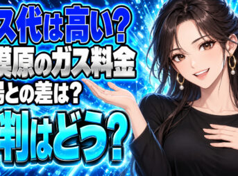 神奈川ガス販売のプロパン料金は高い？相模原の単価と評判を調査について説明する女性