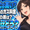 新日本ガス株式会社のプロパンガス料金は高い？北九州市の単価と評判を調査について説明する女性
