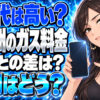 株式会社新光のプロパンガス料金は高い？北九州市の単価と評判を調査について説明する女性