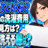 衣替えのクリーニング、全部出すといくら？洗濯表示で先に仕分けについて説明する女性