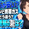 プロパンガスとカセットコンロはどっちが節約？ガス代を比較調査！について説明する女性