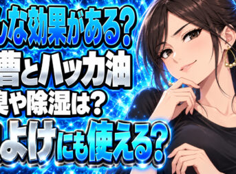重曹とハッカ油で最強の消臭＆除湿！ゴキブリ対策もできる【虫除け】について説明する女性